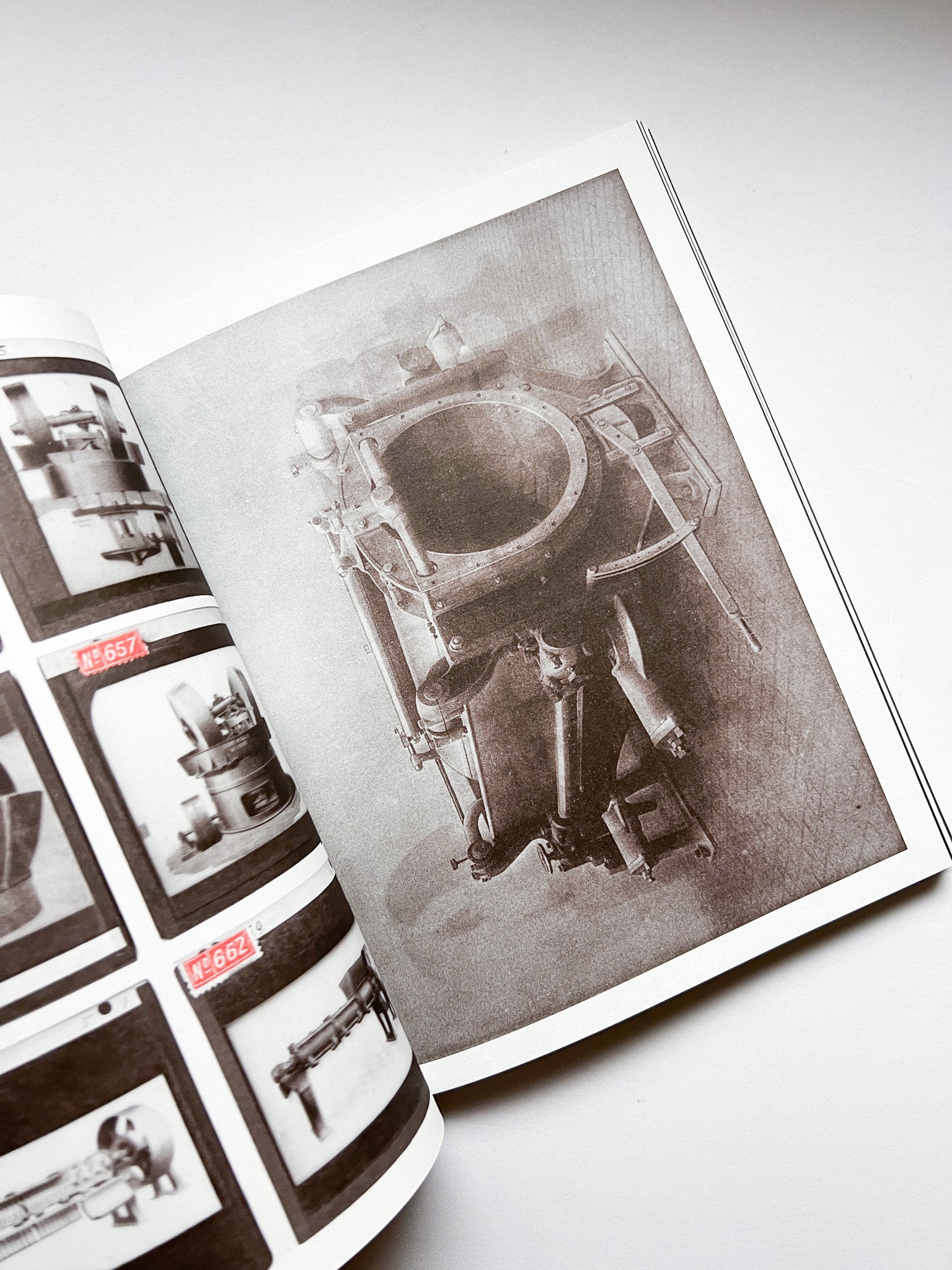 La Nonpareille / Batia Suter - 本屋青旗 Ao-Hata Bookstore