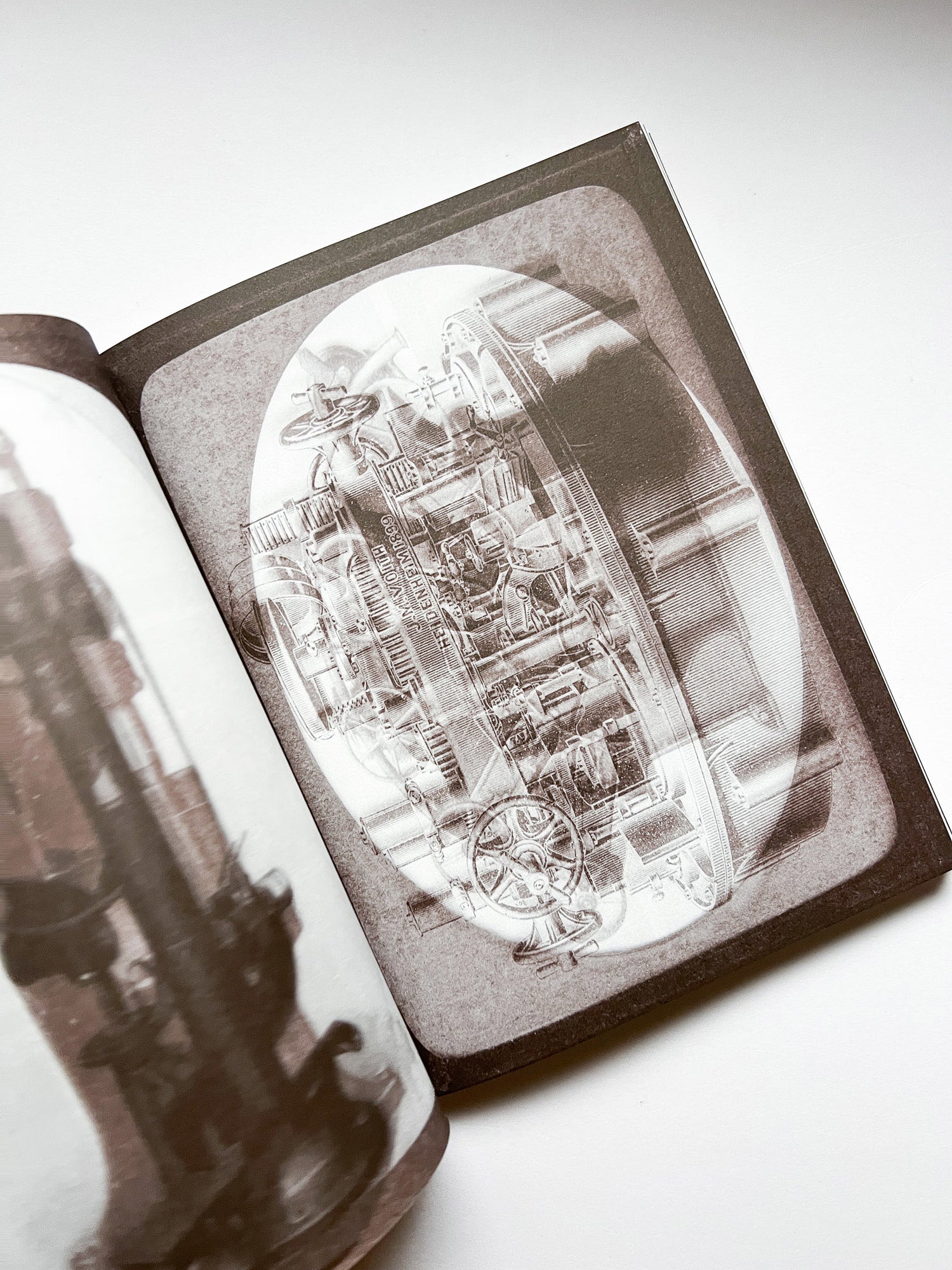 La Nonpareille / Batia Suter