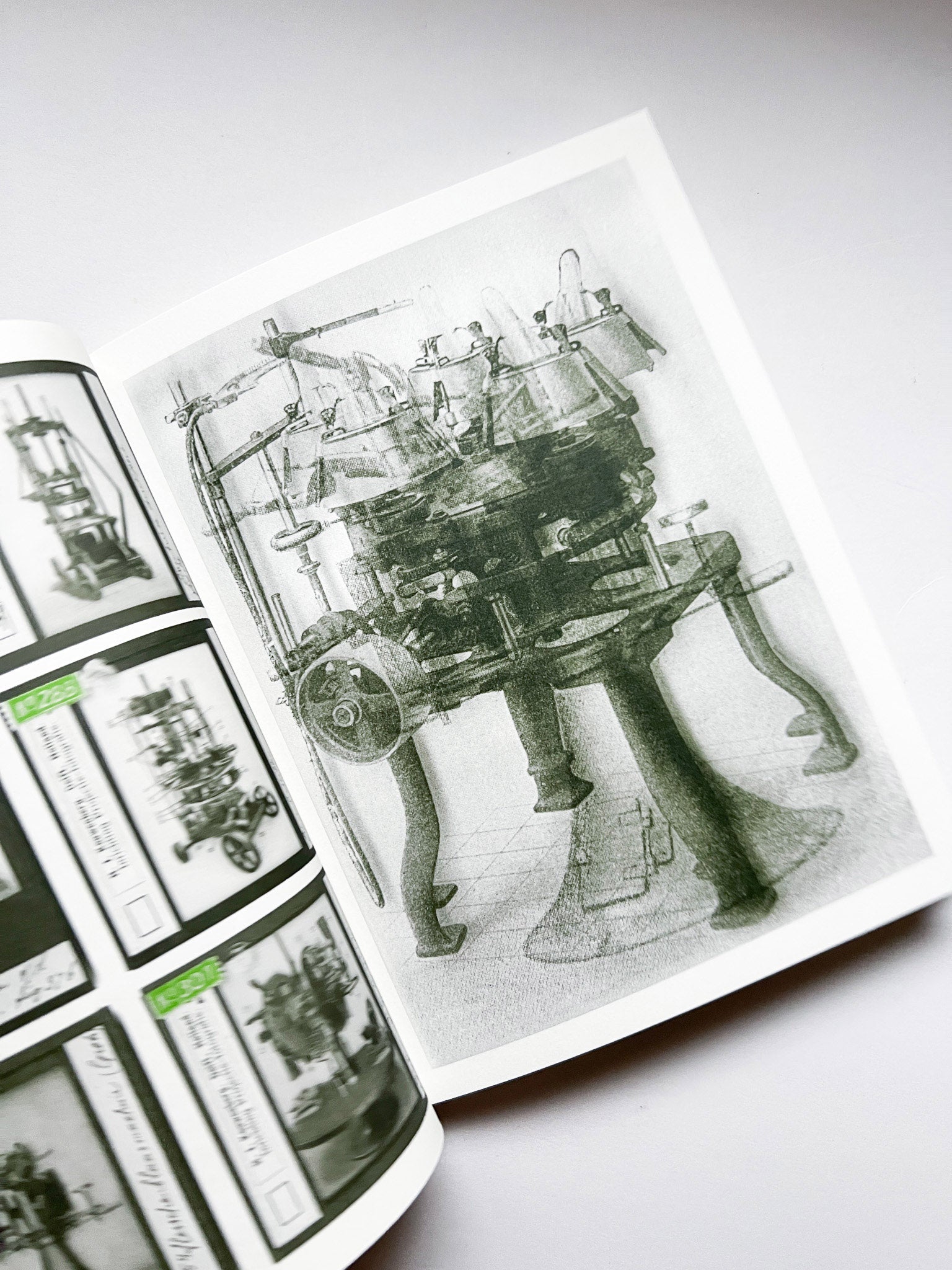 La Nonpareille / Batia Suter - 本屋青旗 Ao-Hata Bookstore