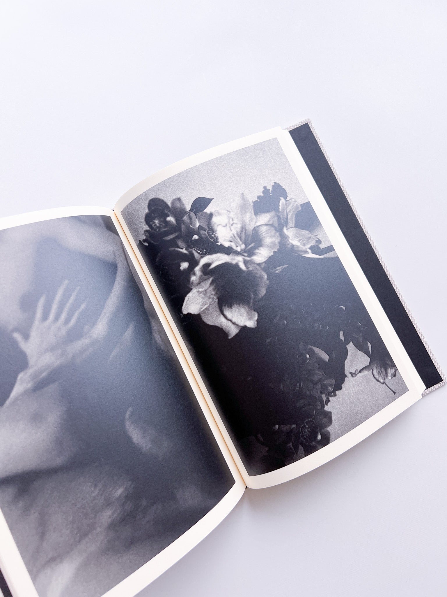 Lirio / Sakiko Nomura [SIGNED] - 本屋青旗 Ao-Hata Bookstore
