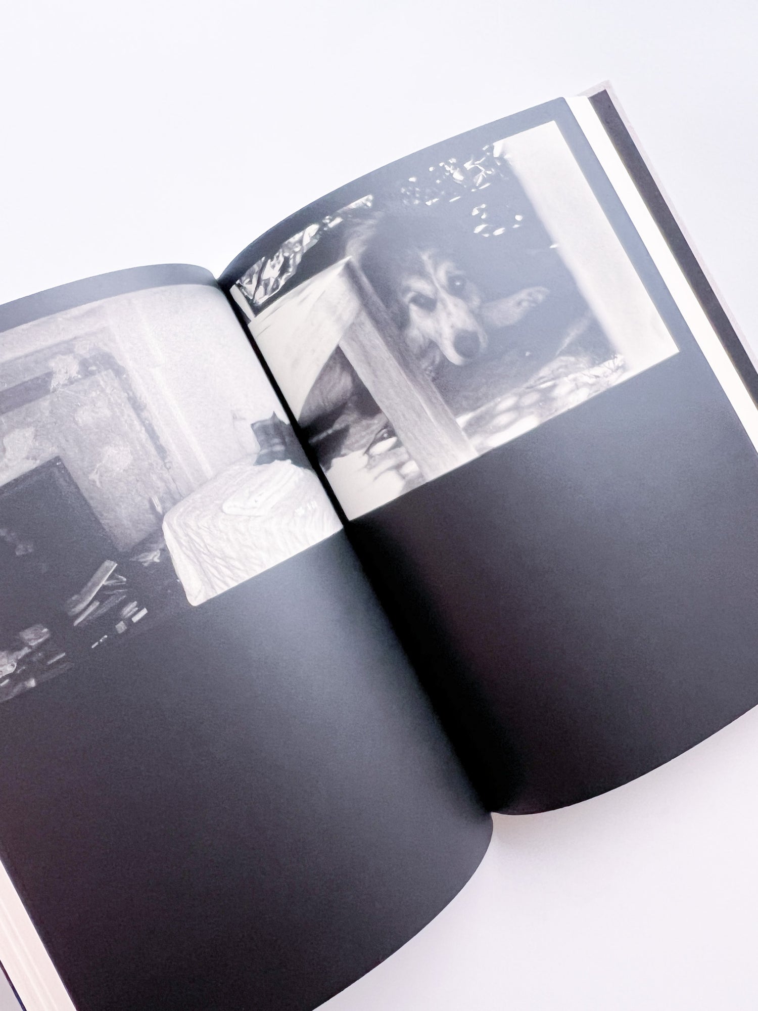 Lirio / Sakiko Nomura [SIGNED]