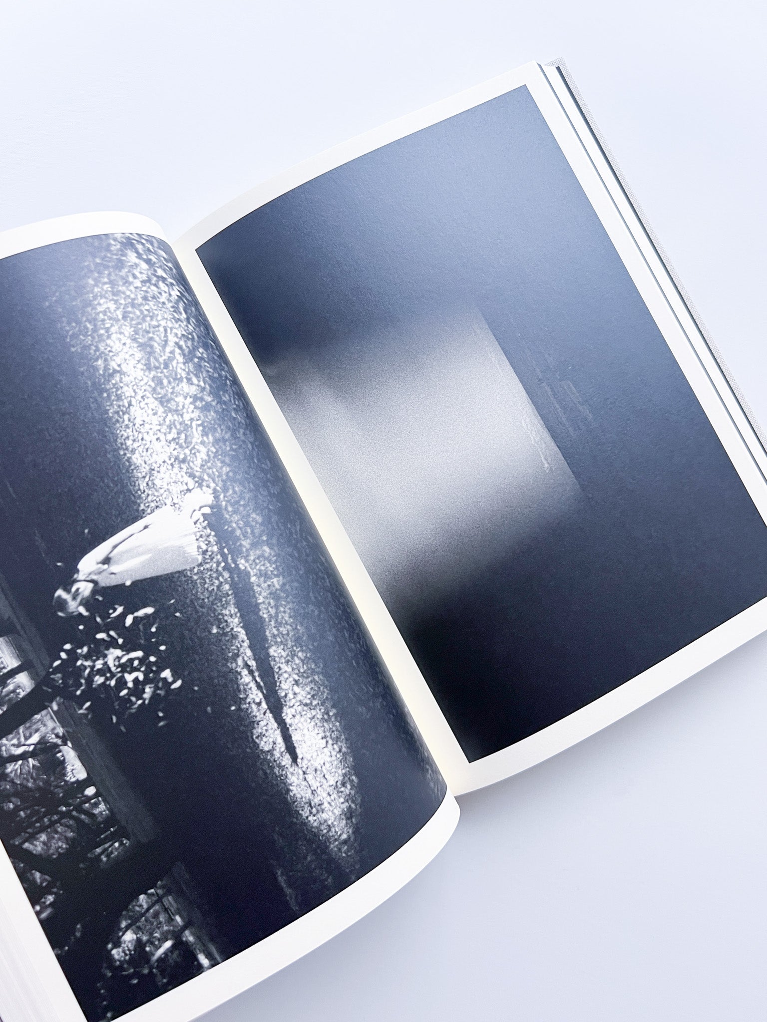 Lirio / Sakiko Nomura [SIGNED] - 本屋青旗 Ao-Hata Bookstore