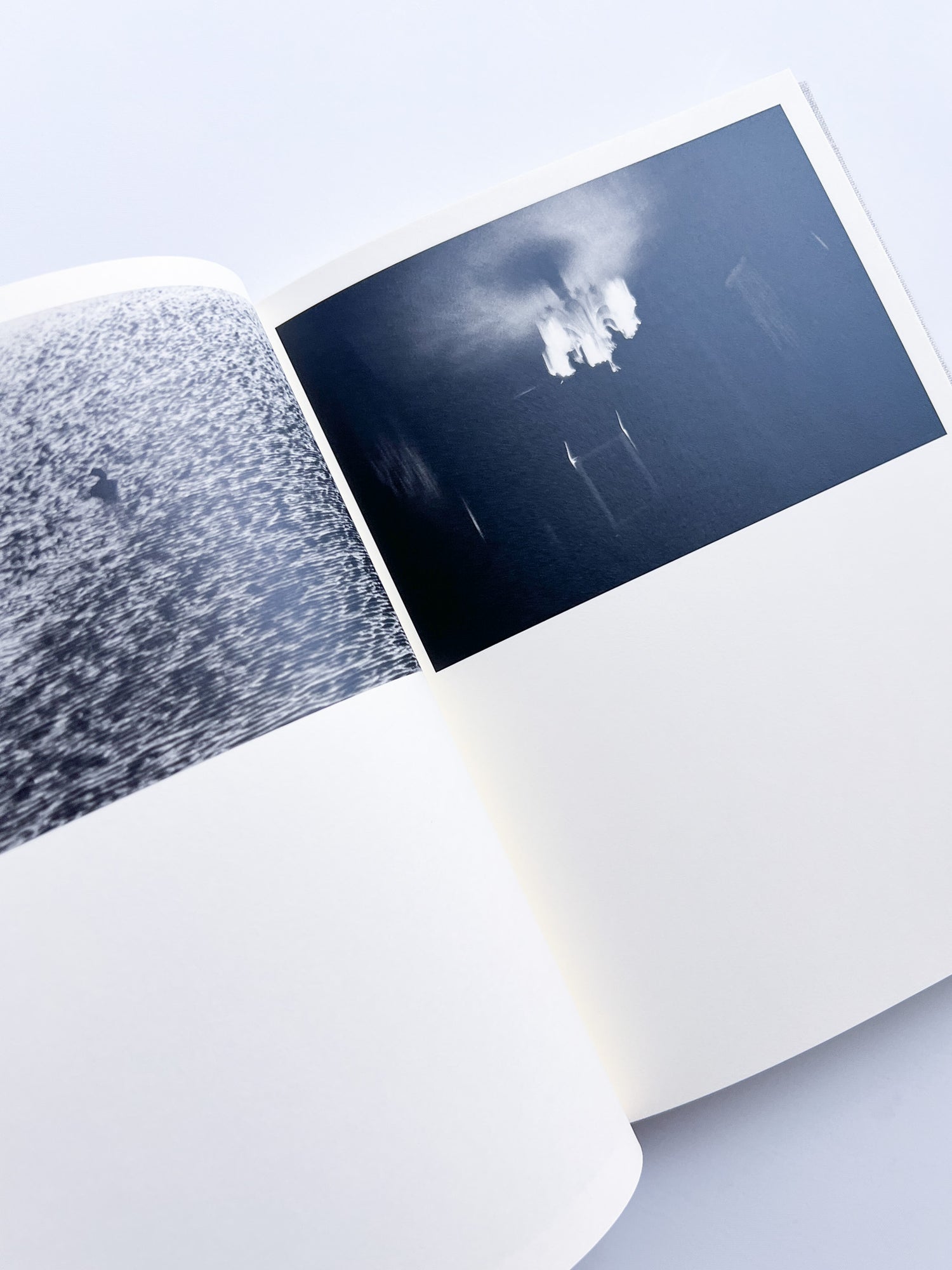 Lirio / Sakiko Nomura [SIGNED]