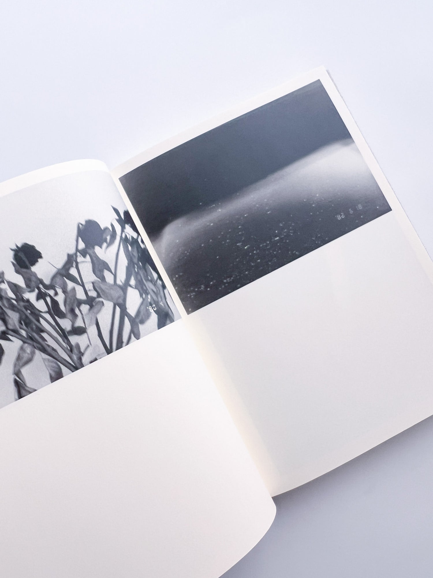 Lirio / Sakiko Nomura [SIGNED]