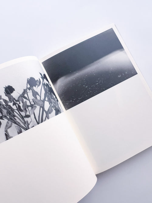 Lirio / Sakiko Nomura [SIGNED]