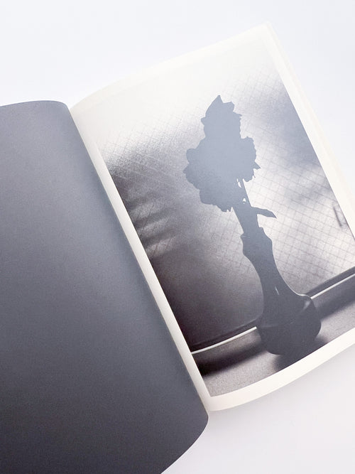 Lirio / Sakiko Nomura [SIGNED]