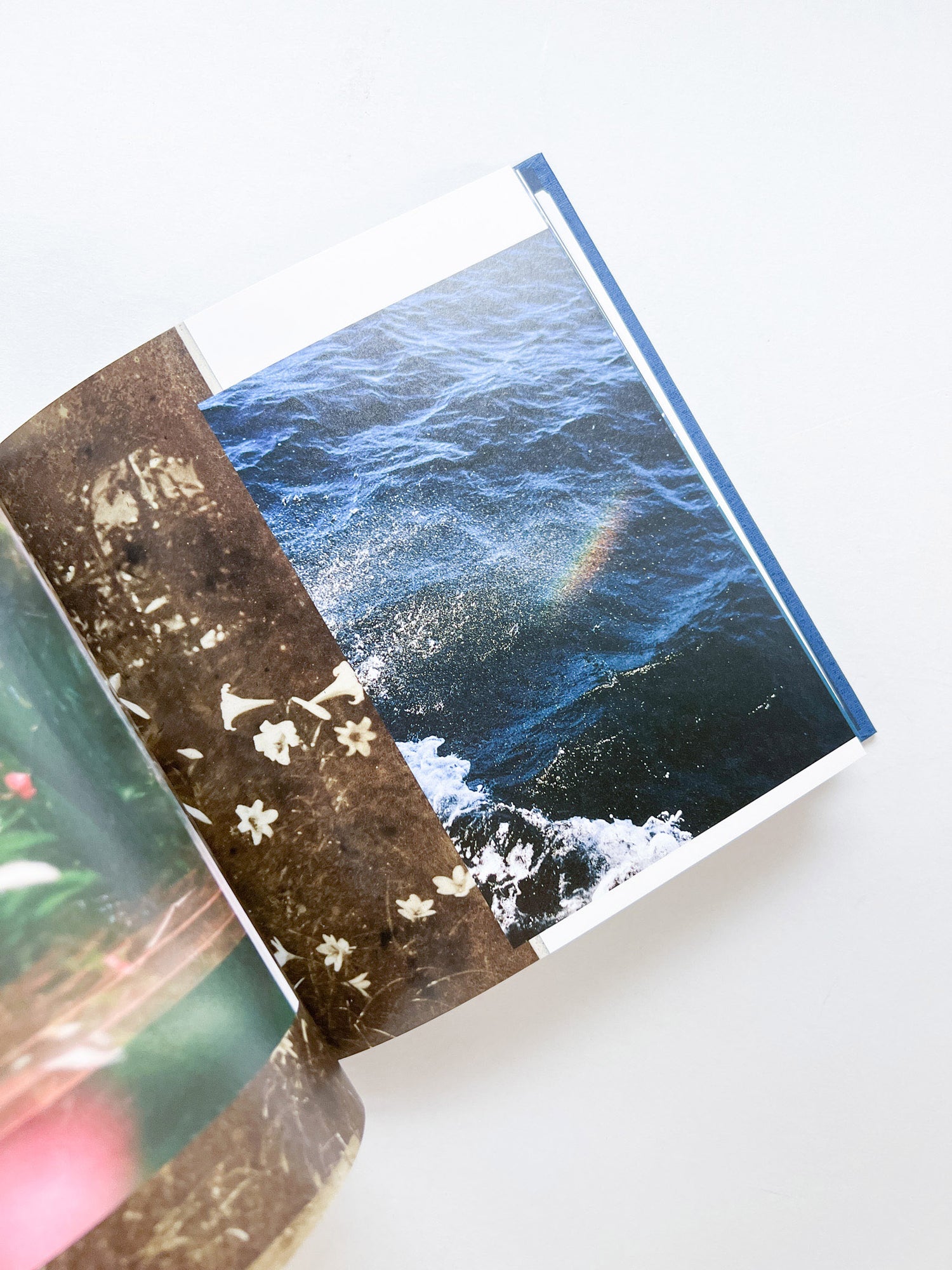 ー・・/ Kanade Hamamoto