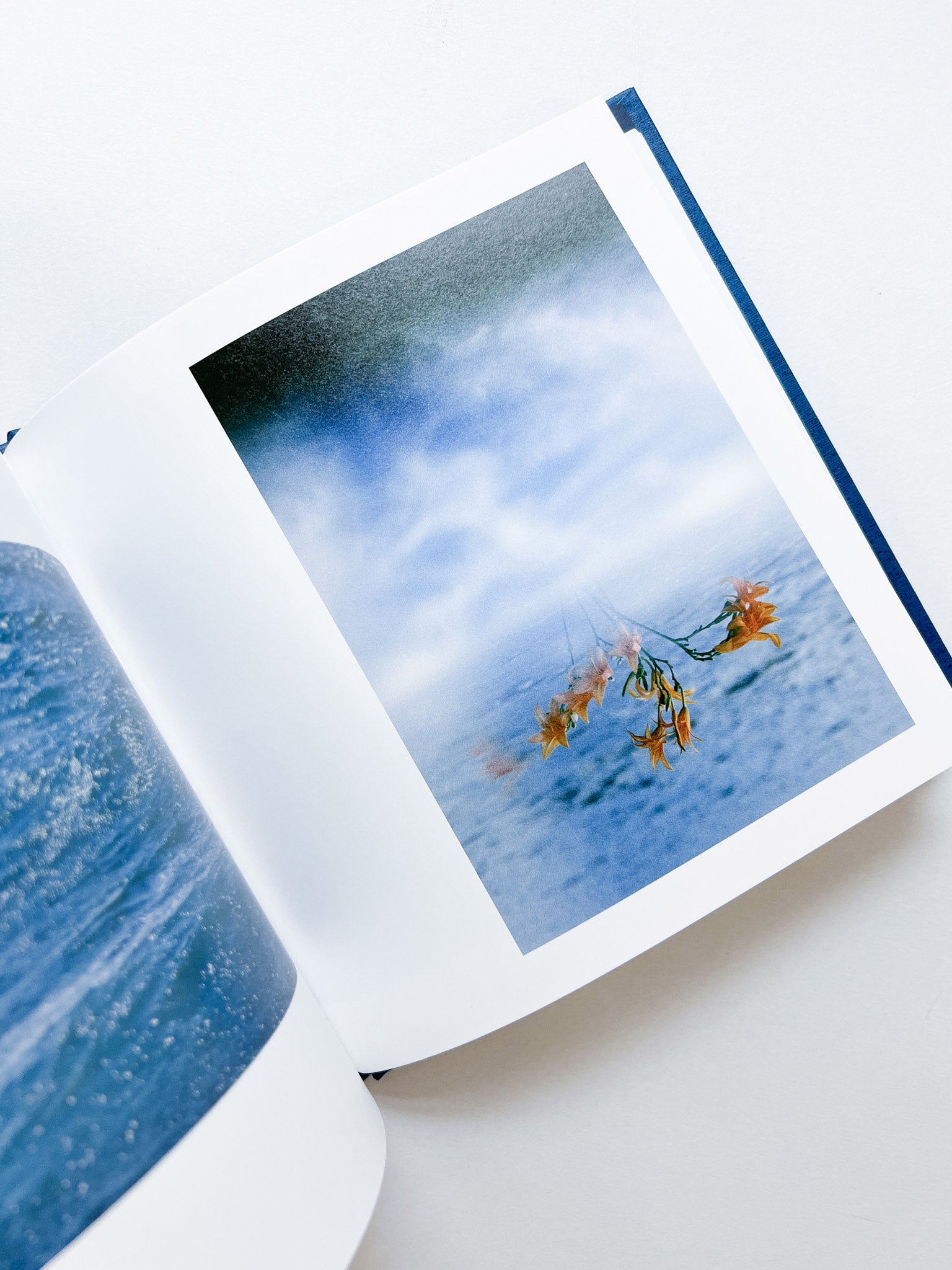 ー・・/ Kanade Hamamoto - 本屋青旗 Ao-Hata Bookstore