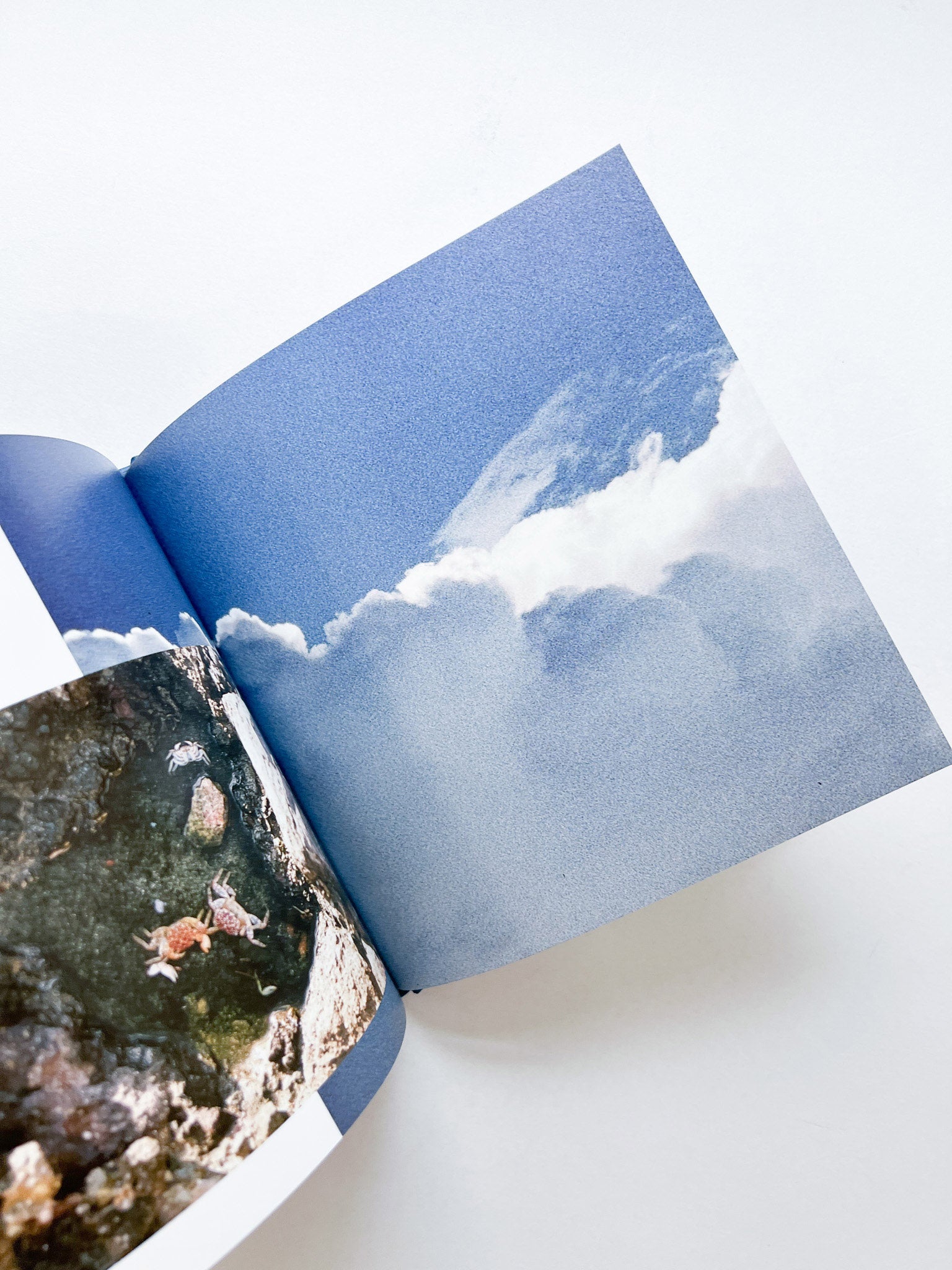 ー・・/ Kanade Hamamoto - 本屋青旗 Ao-Hata Bookstore