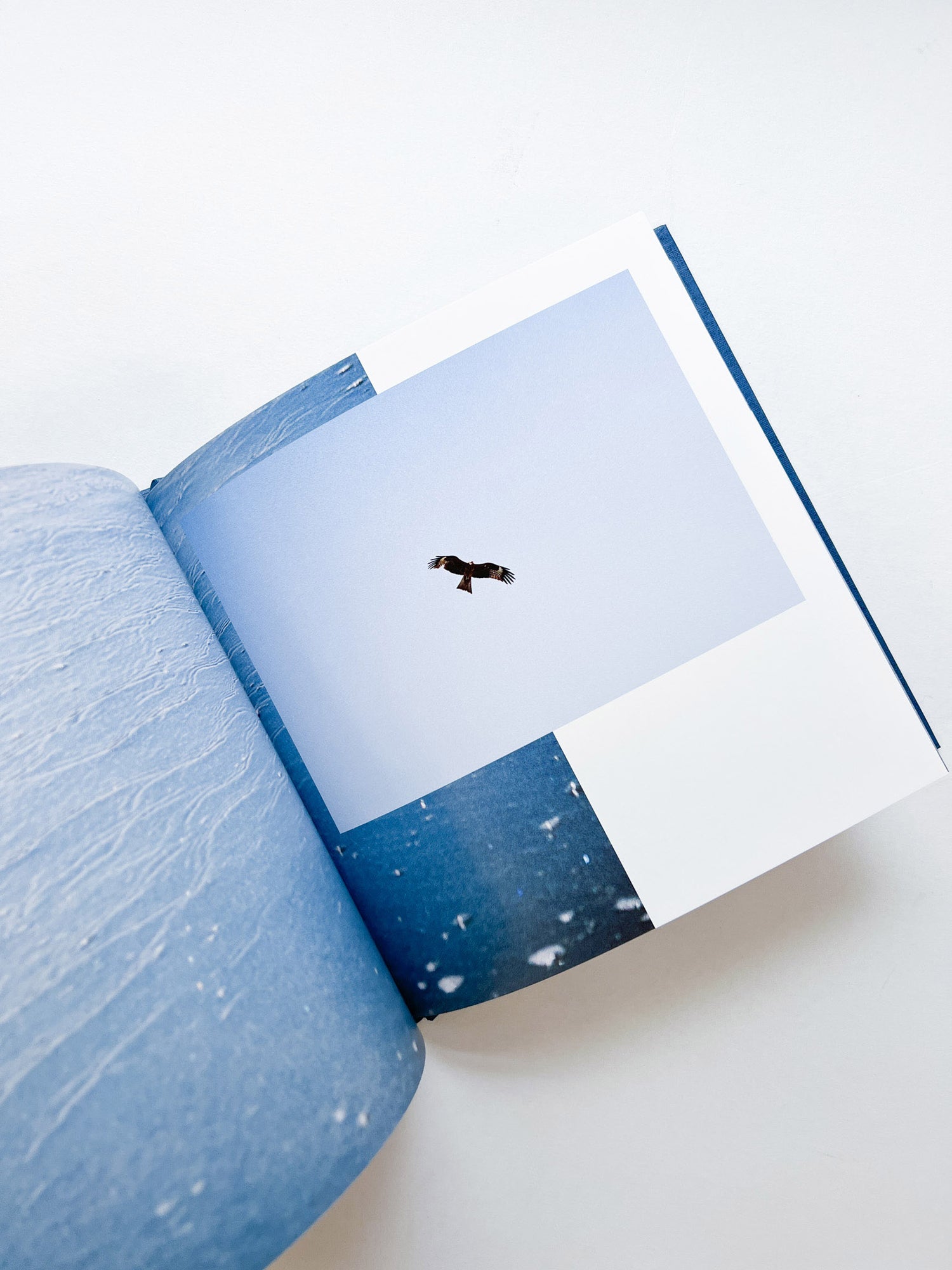 ー・・/ Kanade Hamamoto