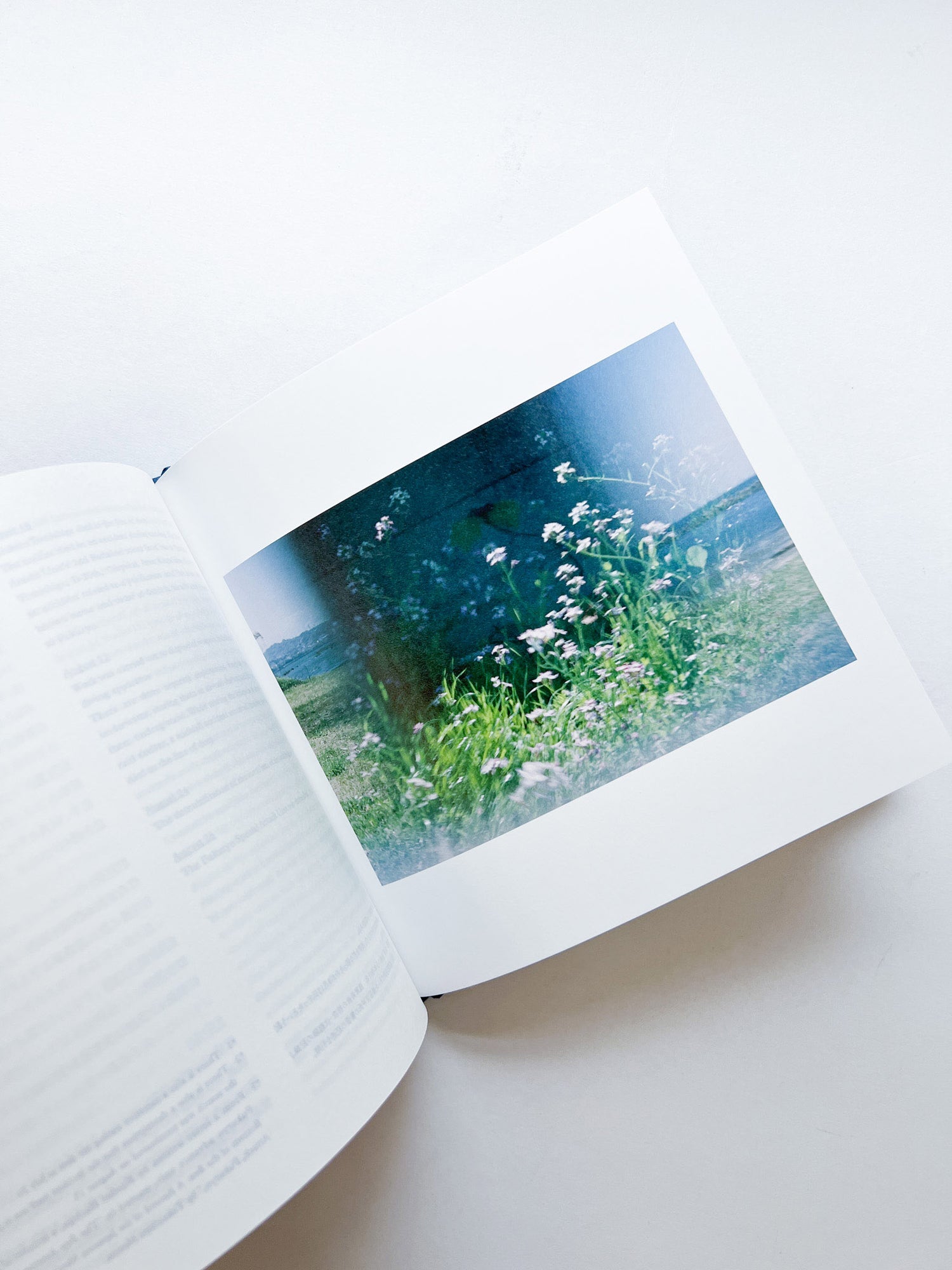 ー・・/ Kanade Hamamoto