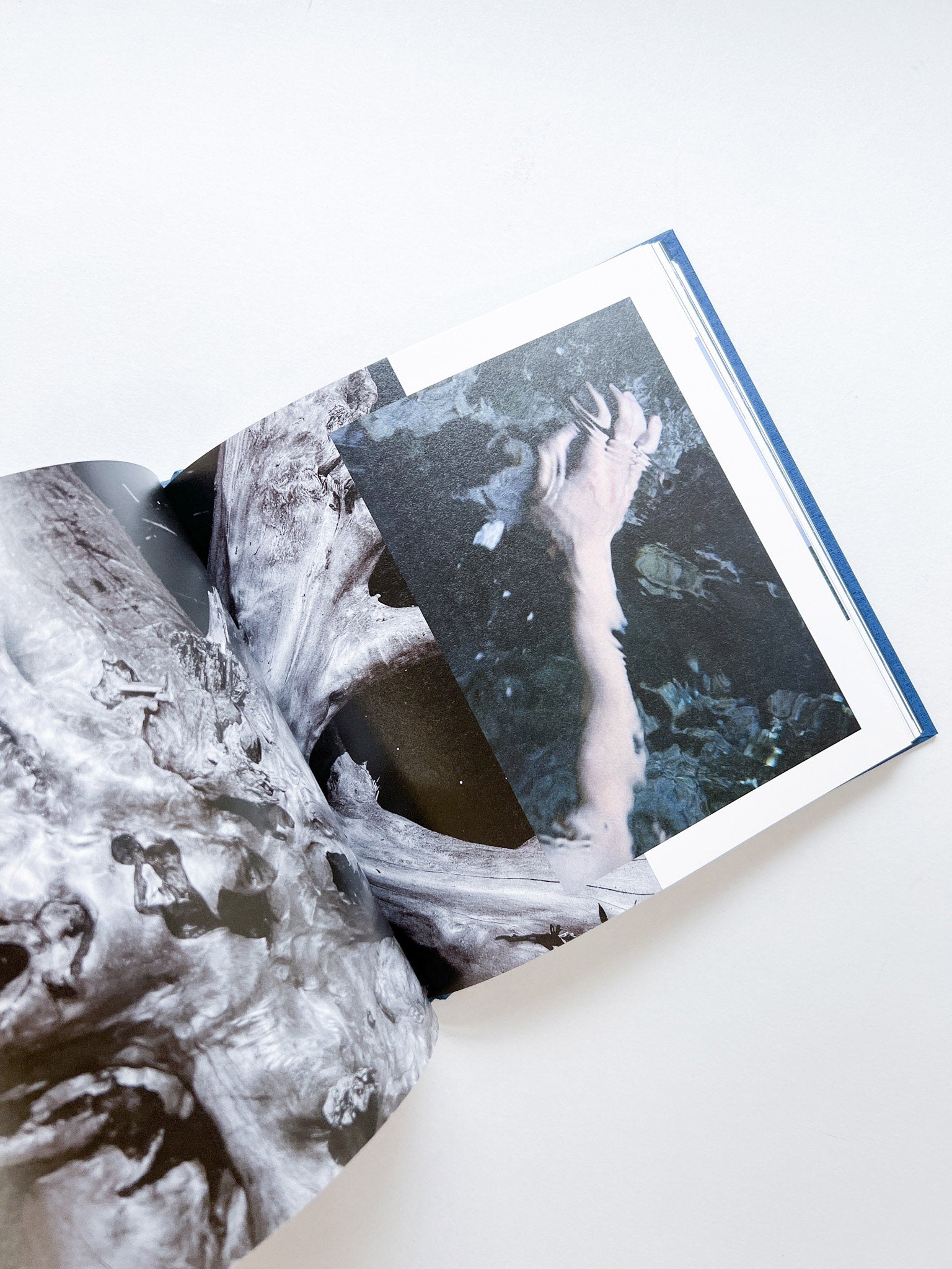 ー・・/ Kanade Hamamoto - 本屋青旗 Ao-Hata Bookstore
