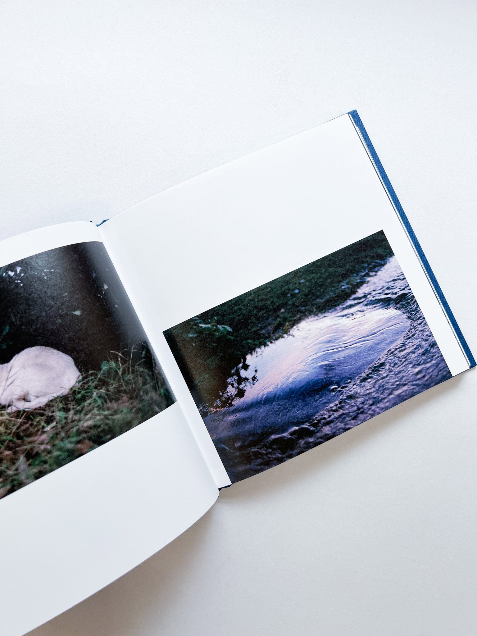 ー・・/ Kanade Hamamoto - 本屋青旗 Ao-Hata Bookstore