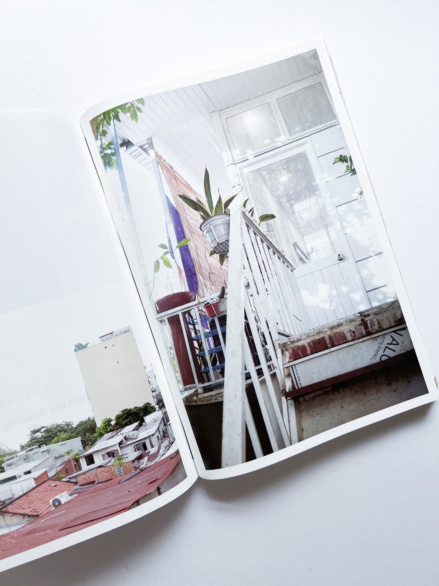 NEUTRAL COLORS 6 - 本屋青旗 Ao-Hata Bookstore