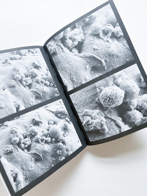 DOWN UNDER / Formafantasma