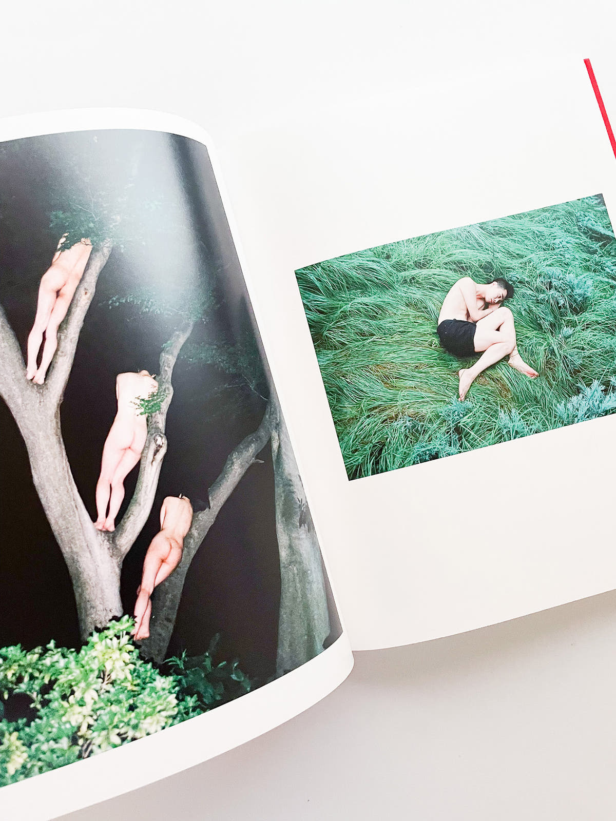 Ren Hang