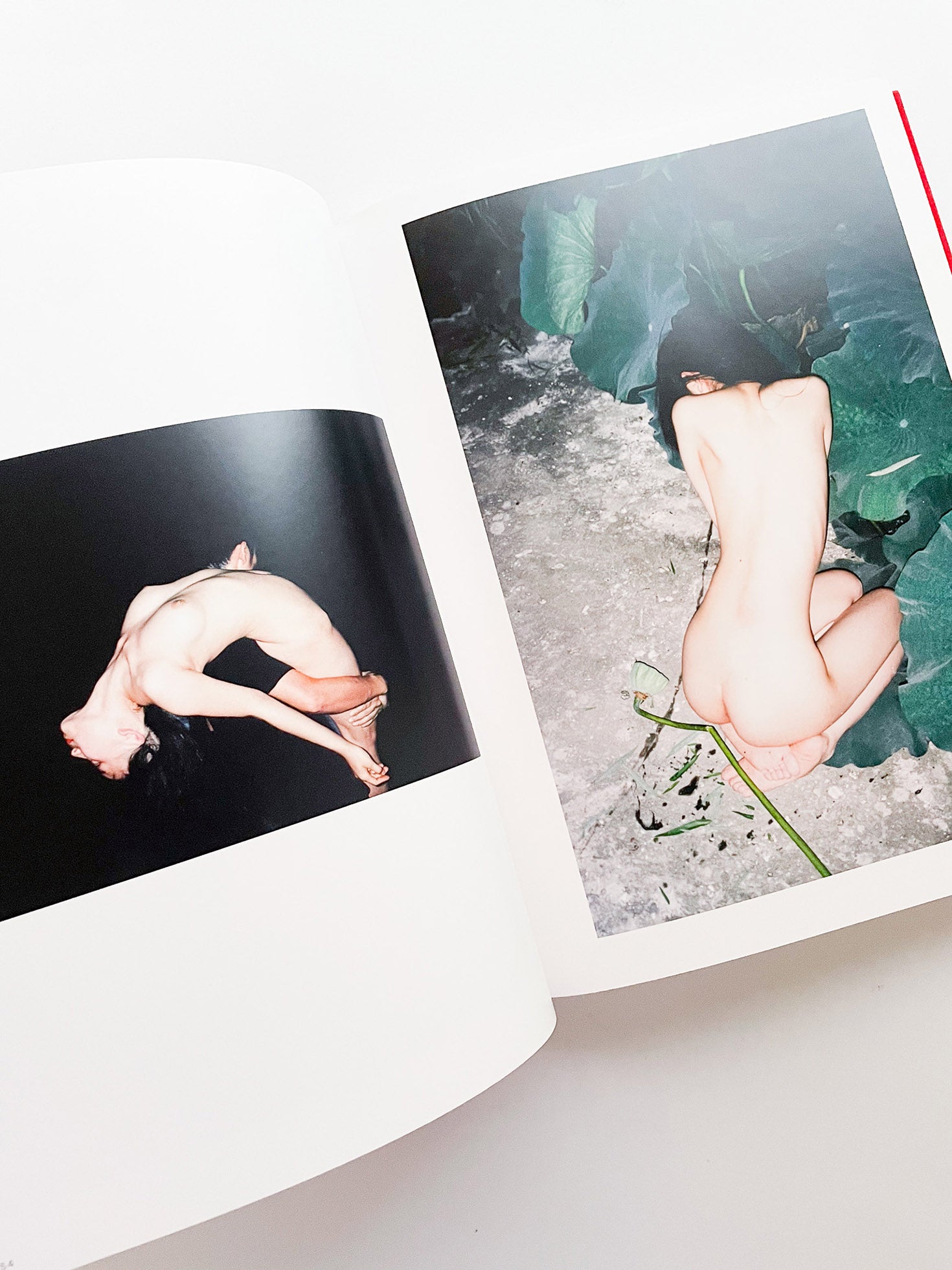 Ren Hang