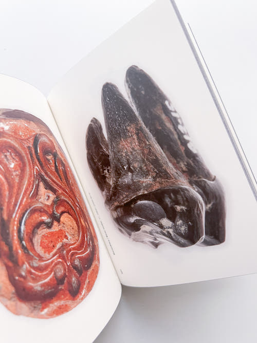 Onder/Under Amsterdam / Irma Boom, Frederik Pesch