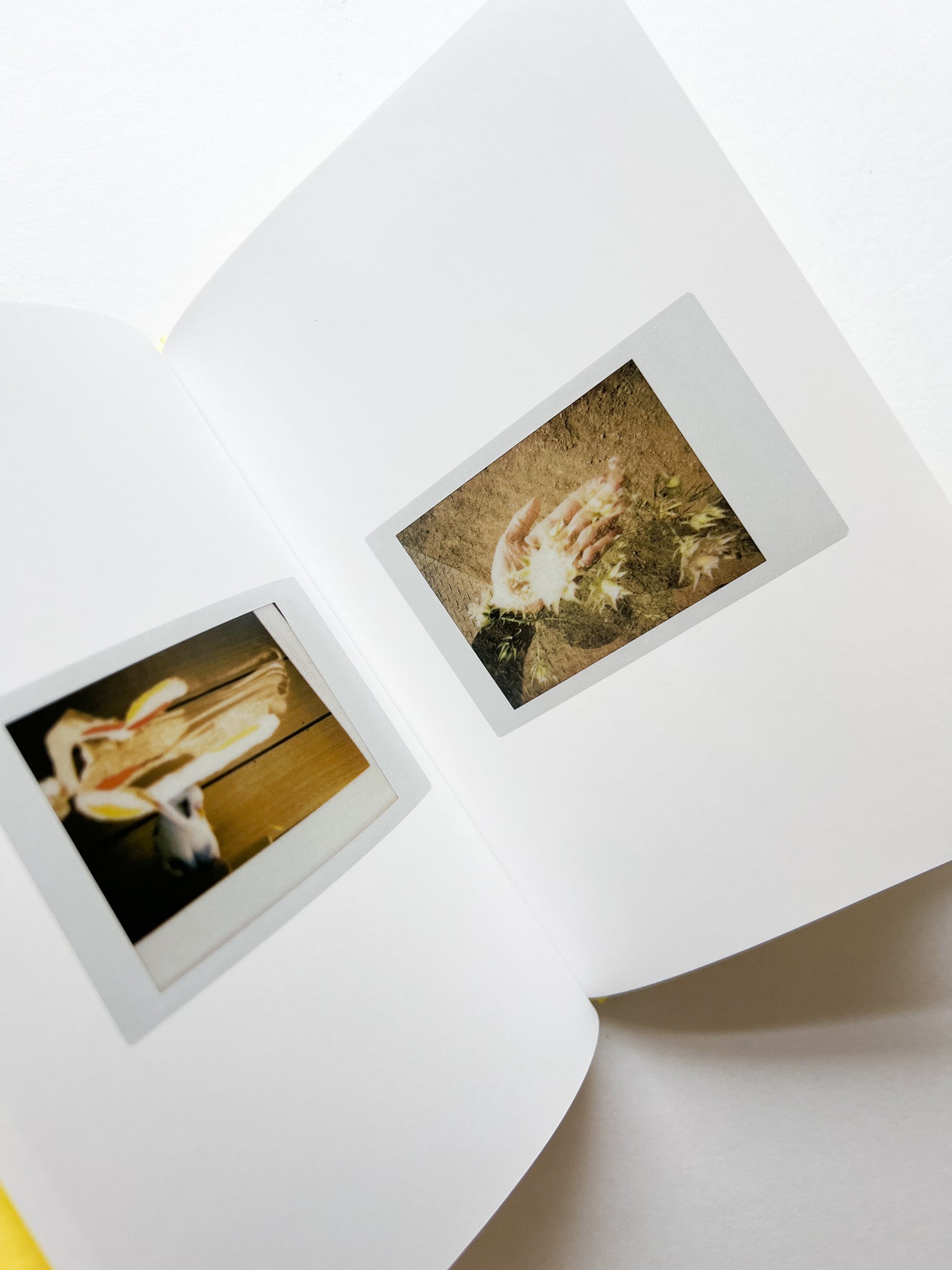 JOBIM / Erika Yoshino [SIGNED]