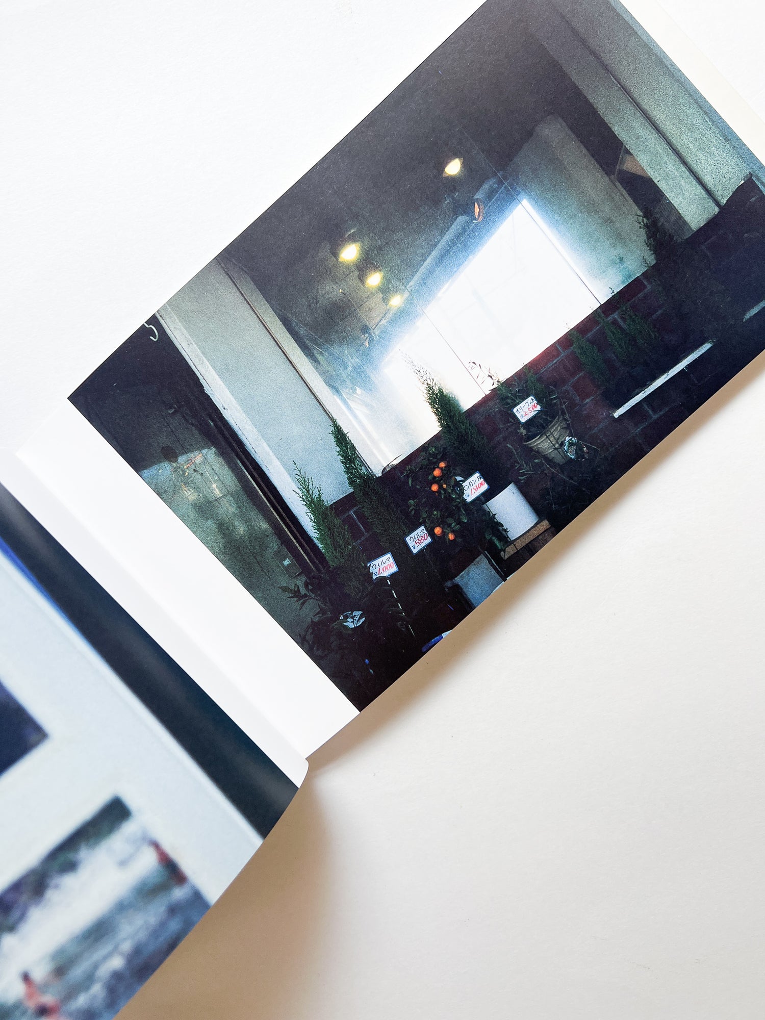 JUST LIKE ON THE RADIO / Erika Yoshino