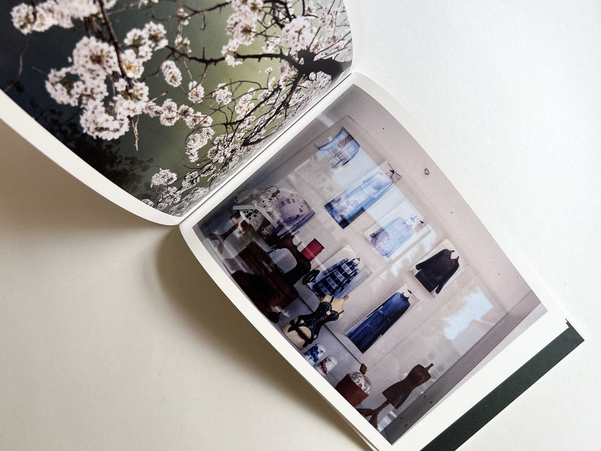 Windows of the World /  Erika Yoshino
