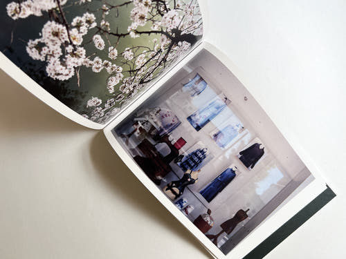 Windows of the World /  Erika Yoshino