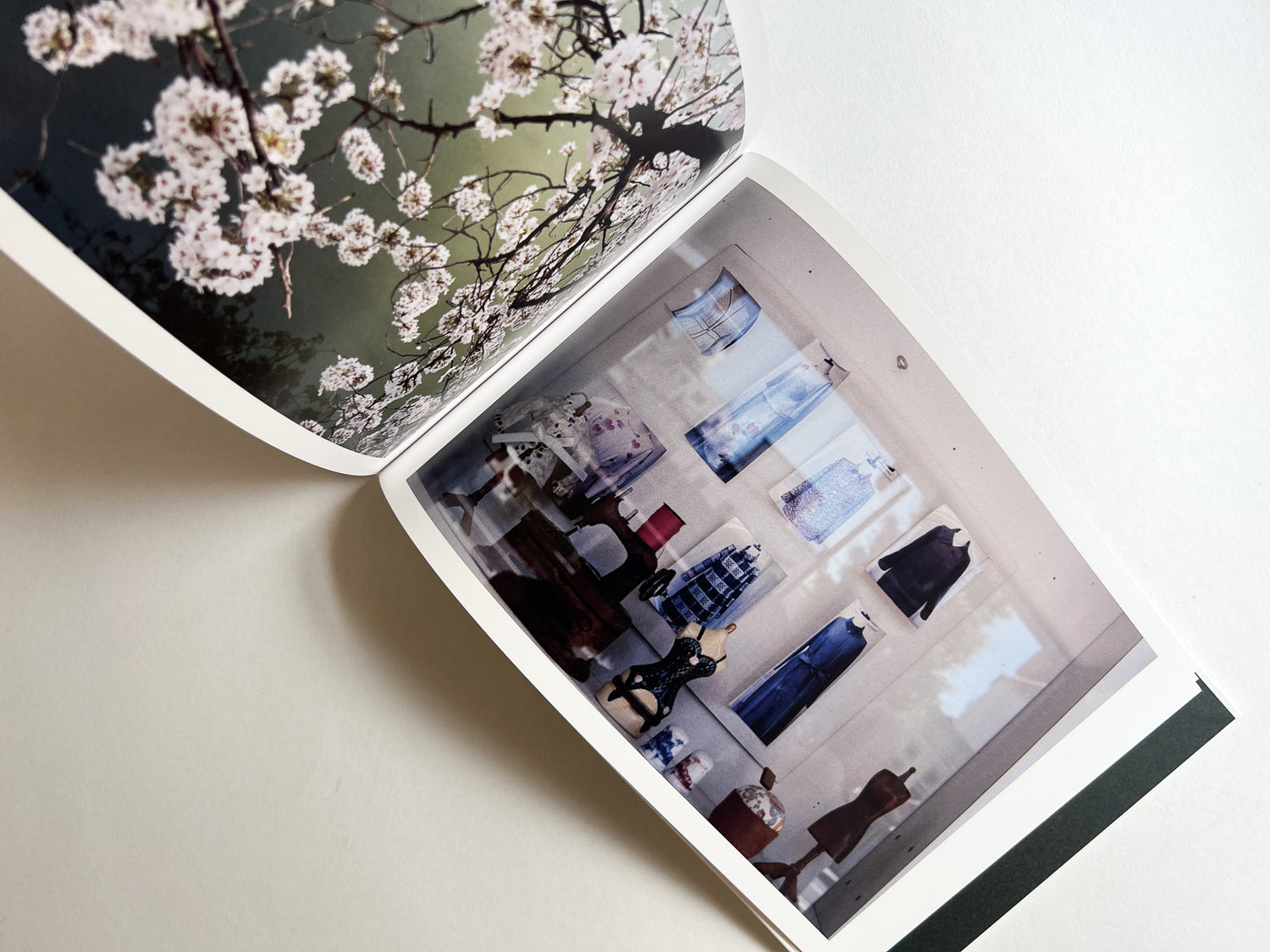 Windows of the World /  Erika Yoshino