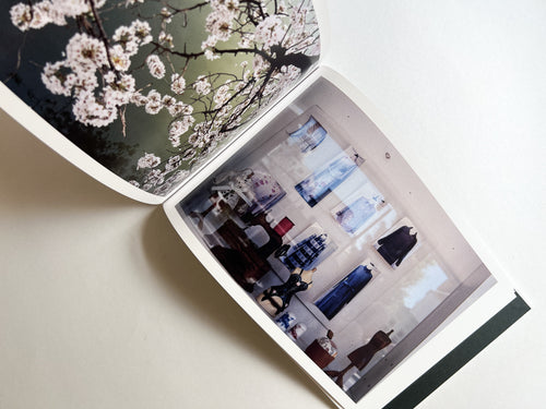 Windows of the World /  Erika Yoshino