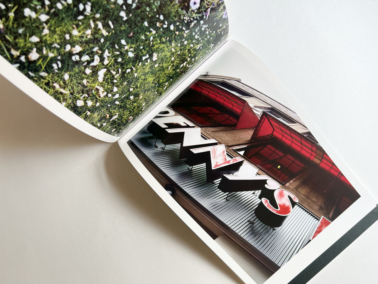 Windows of the World /  Erika Yoshino