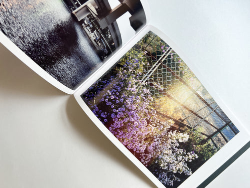 Windows of the World /  Erika Yoshino