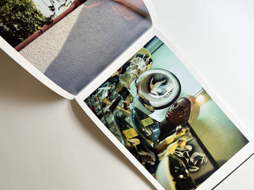 Windows of the World /  Erika Yoshino