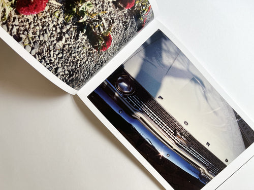 Windows of the World /  Erika Yoshino