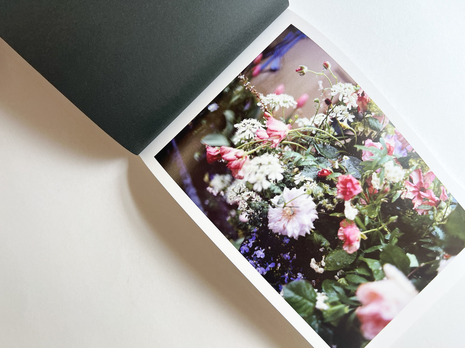 Windows of the World /  Erika Yoshino