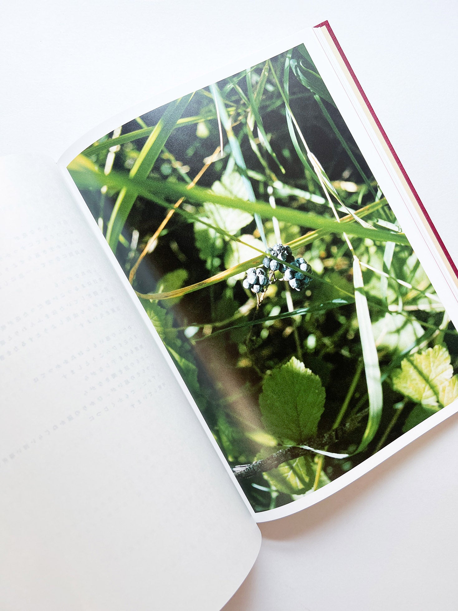 SWISS / Yurie Nagashima - 本屋青旗 Ao-Hata Bookstore