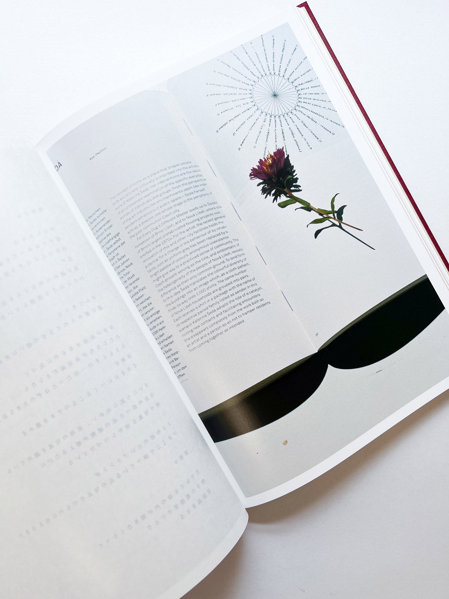 SWISS / Yurie Nagashima - 本屋青旗 Ao-Hata Bookstore
