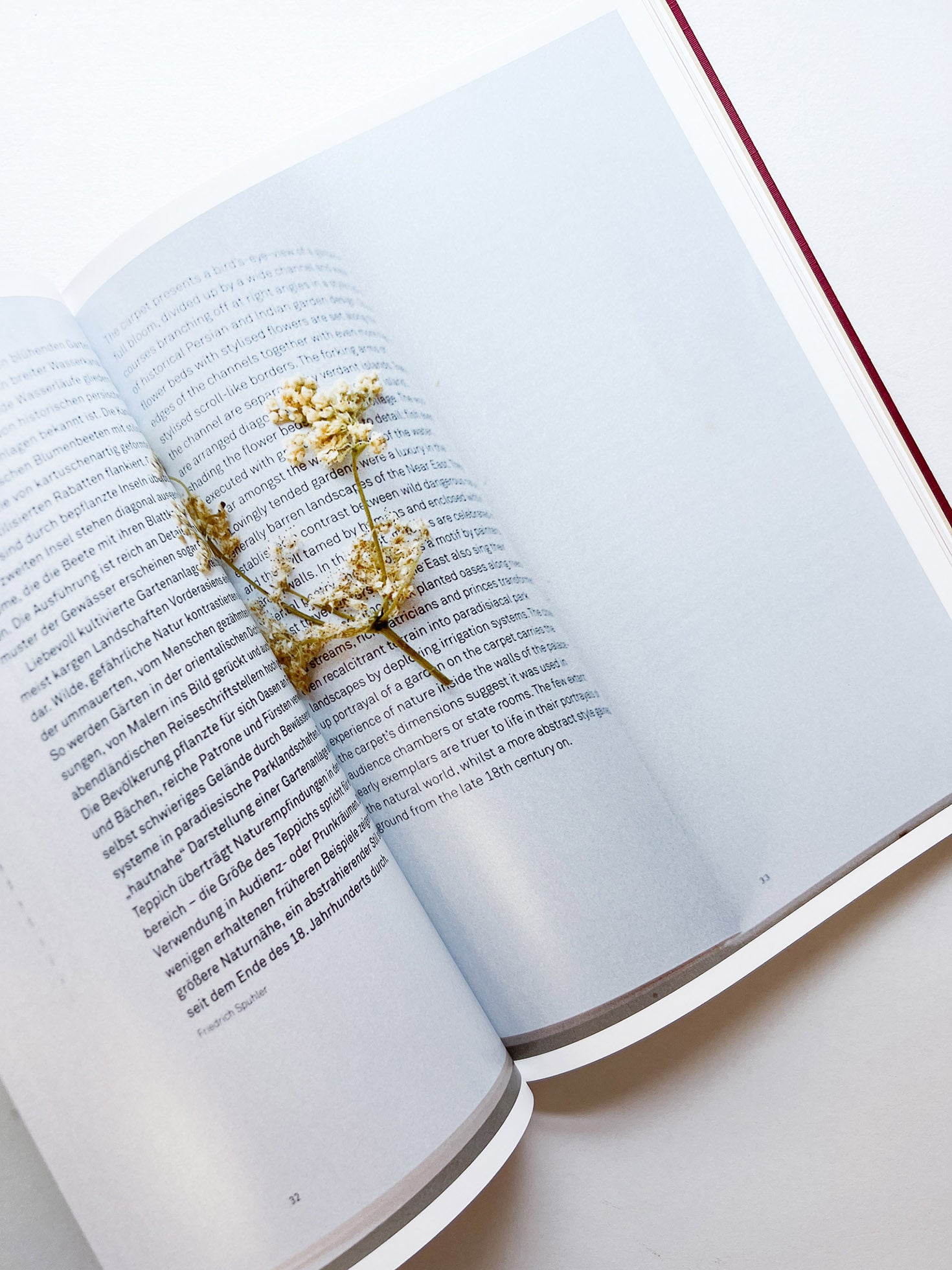 SWISS / Yurie Nagashima - 本屋青旗 Ao-Hata Bookstore