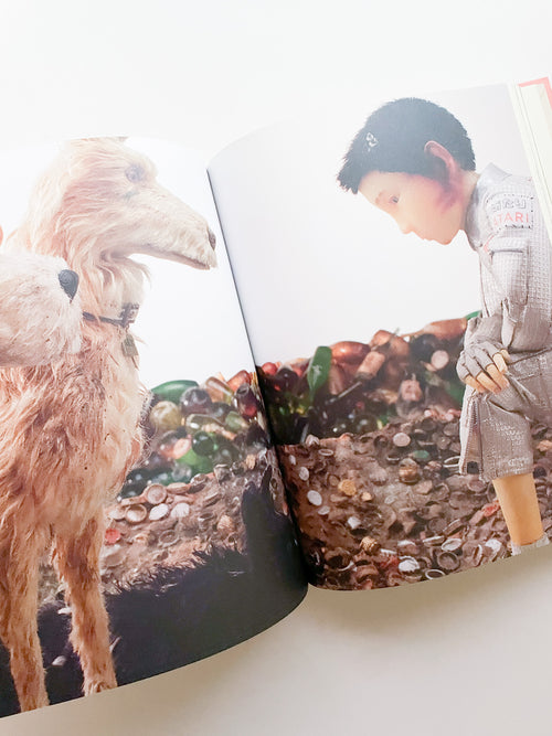 THE MUSEUM OF WES ANDERSON / Wes Anderson, Johan Chiaramonte, Camille Mathieu