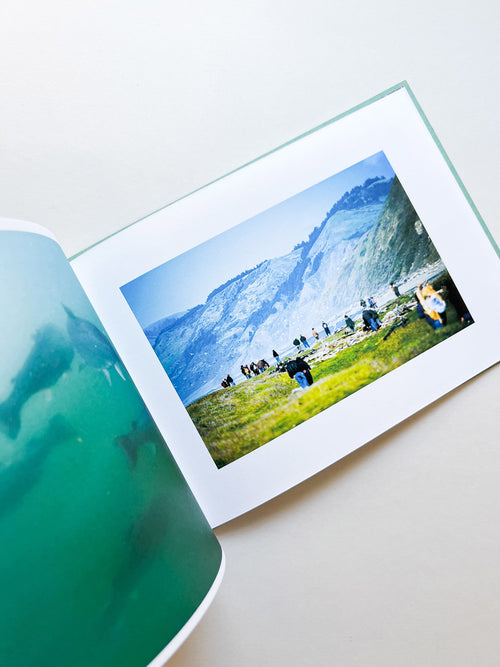 COHO COME HOME / Ai Iwane