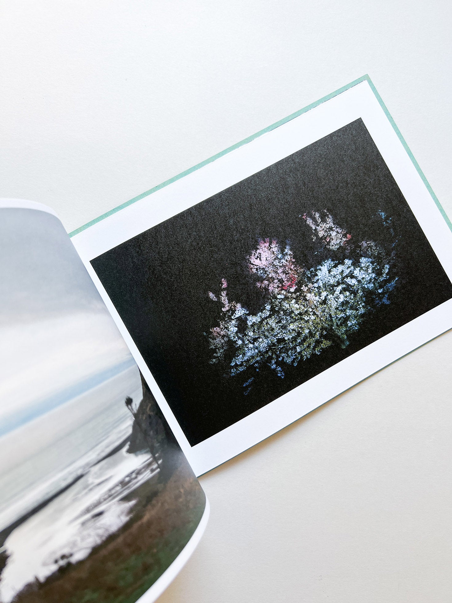 COHO COME HOME / Ai Iwane