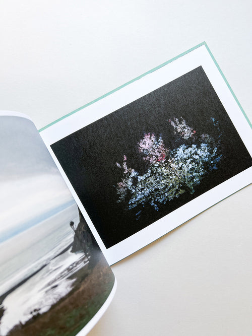 COHO COME HOME / Ai Iwane