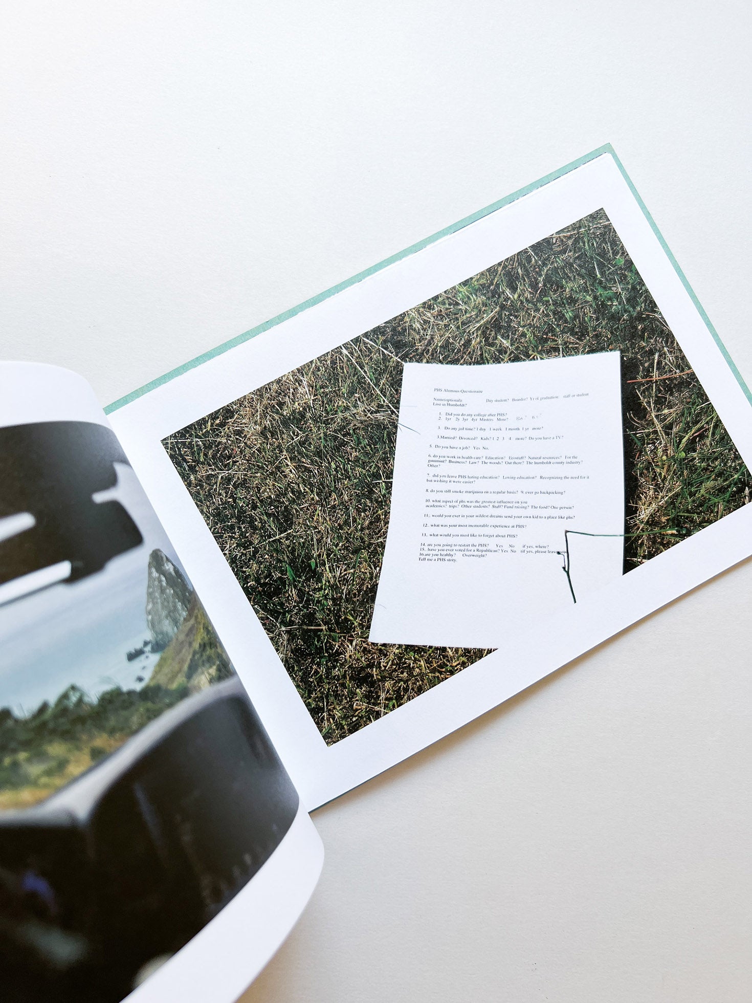 COHO COME HOME / Ai Iwane