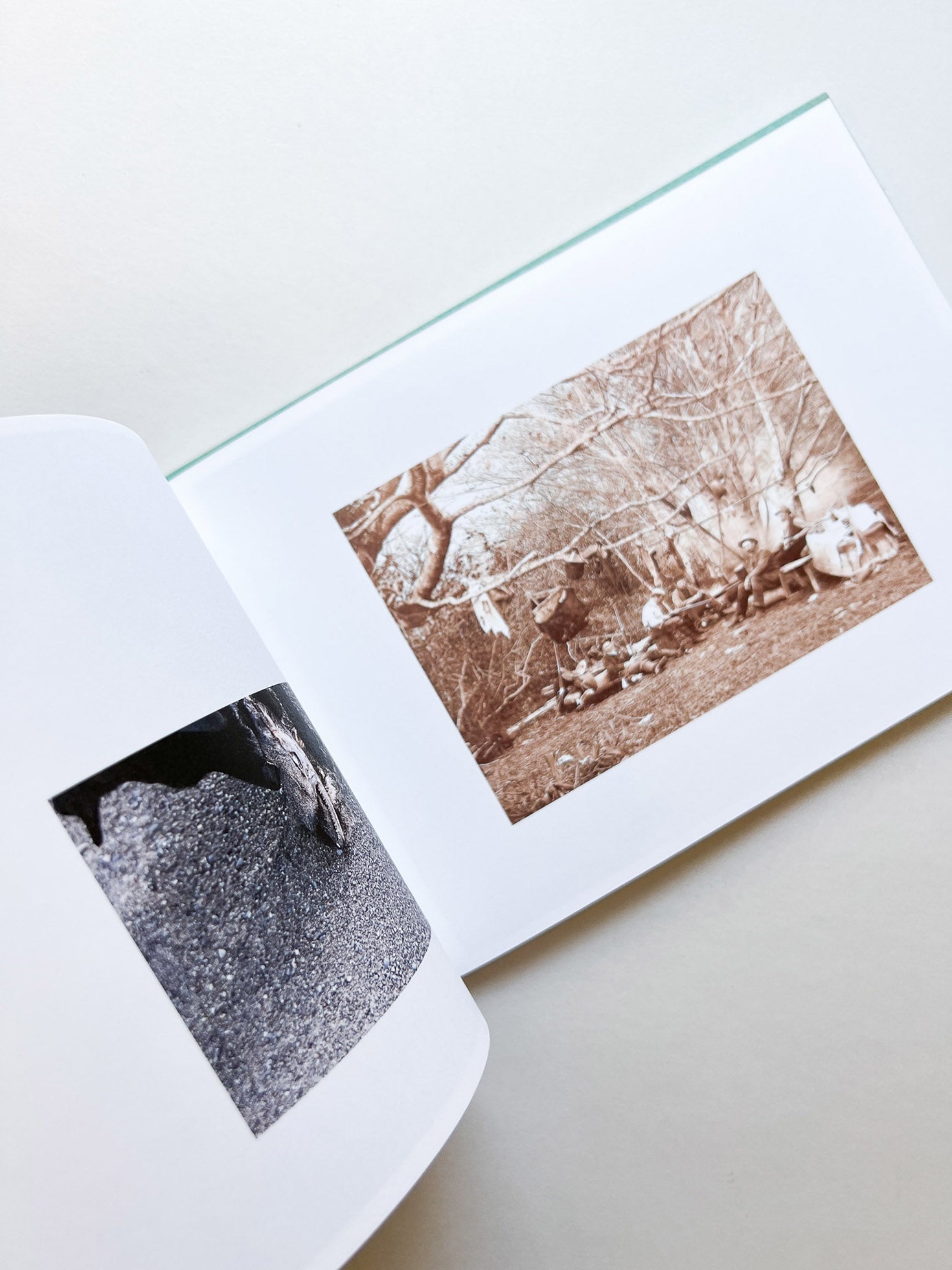 COHO COME HOME / Ai Iwane