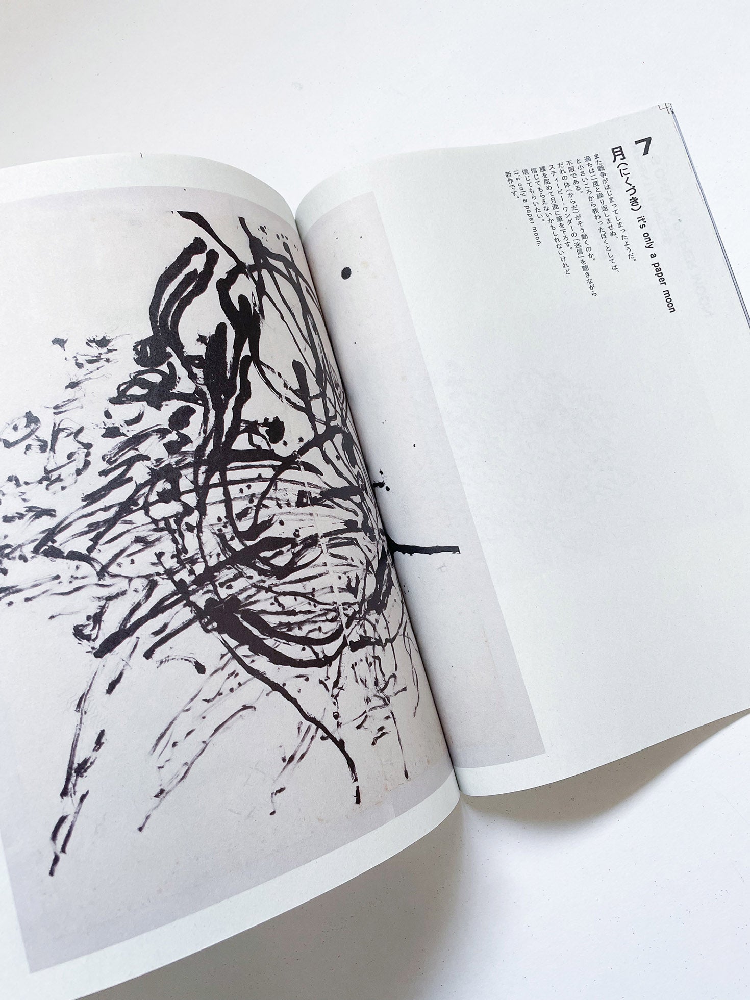 立花文穂展 印象 IT'S ONLY A PAPER MOON（球体11号）/ Fumio