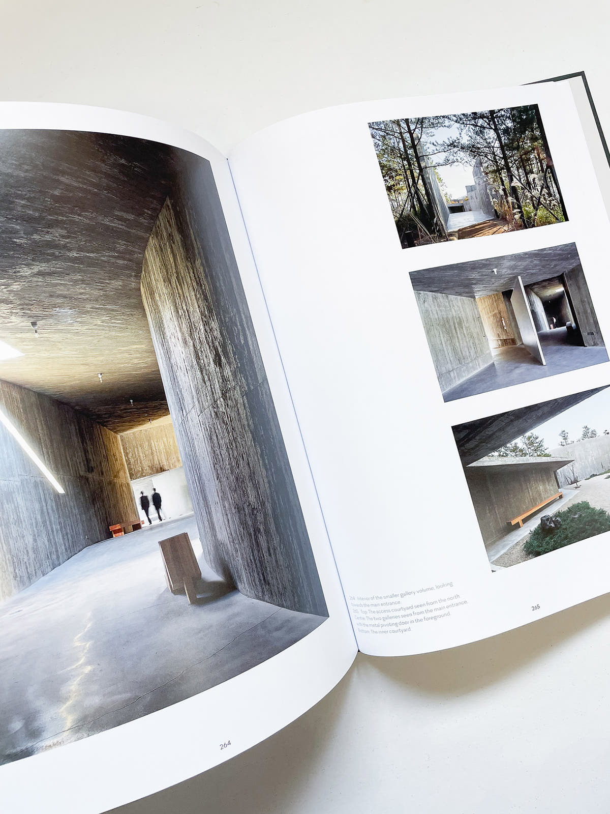 Before / After / Álvaro Siza