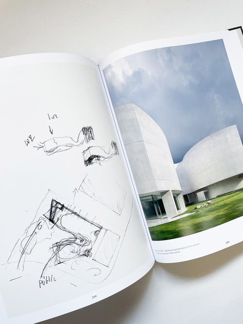 Before / After / Álvaro Siza