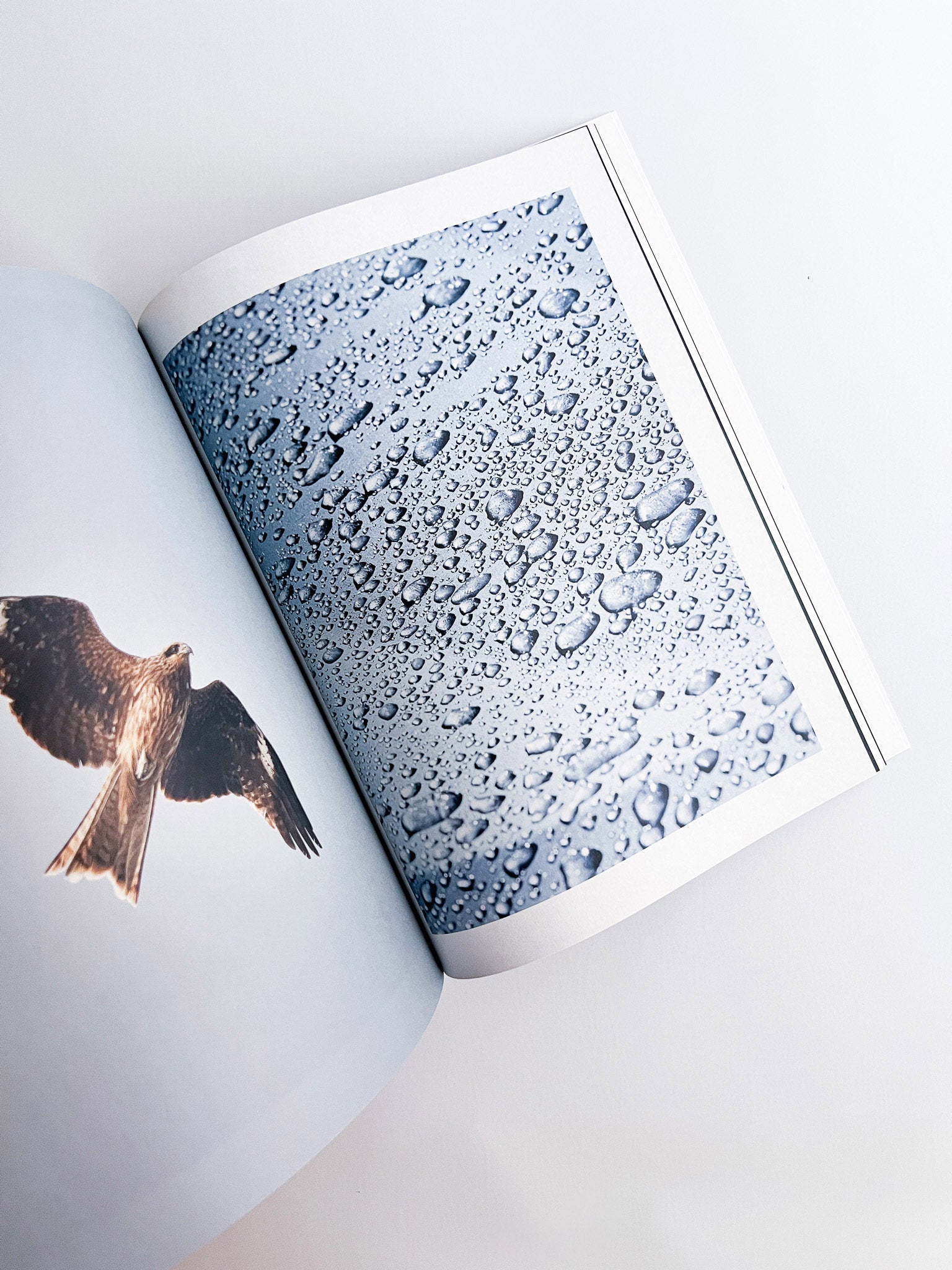 SLEEPWALK / Hiroyuki Takenouchi - 本屋青旗 Ao-Hata Bookstore