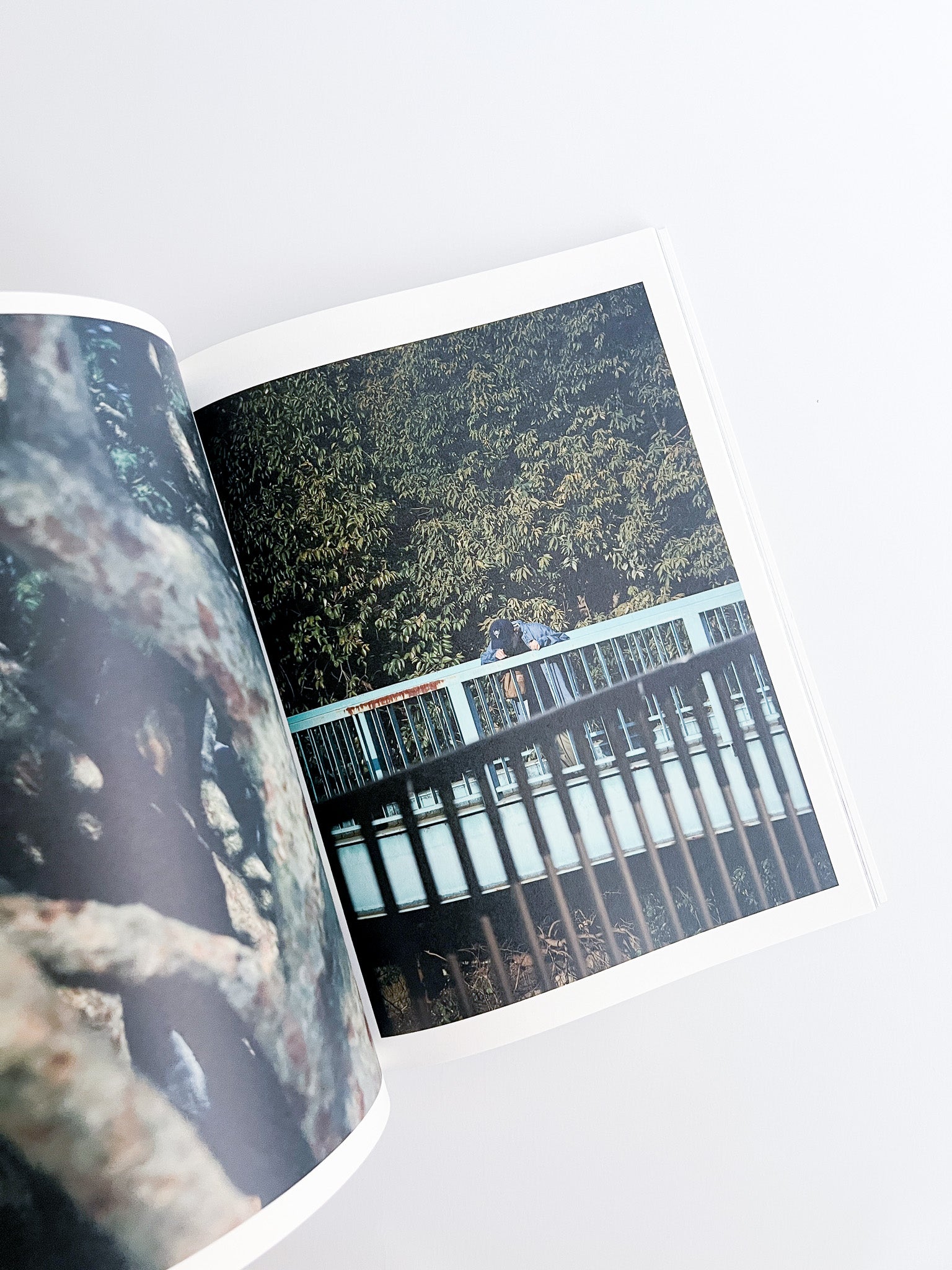 SLEEPWALK / Hiroyuki Takenouchi - 本屋青旗 Ao-Hata Bookstore