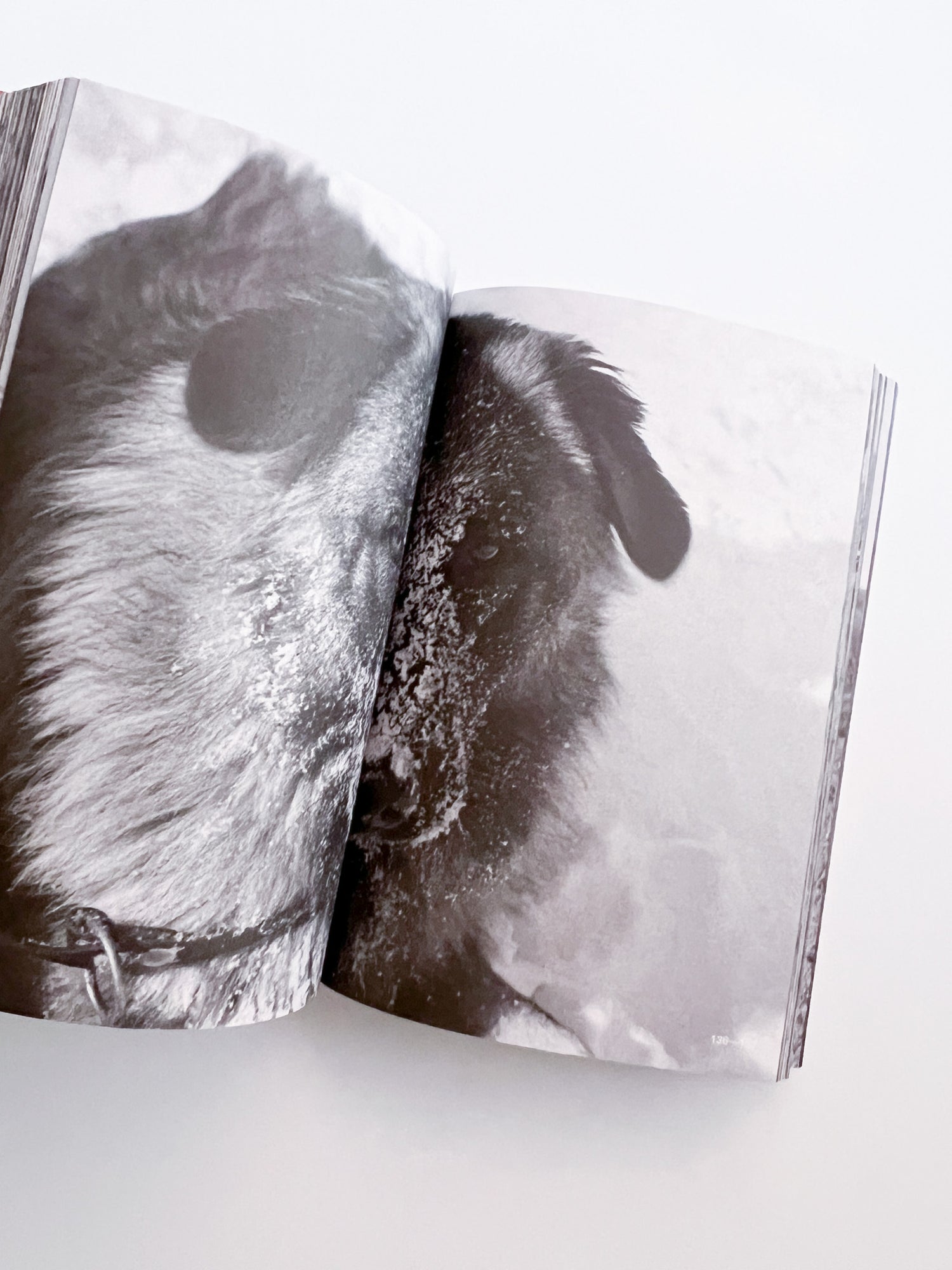 ULAY / MARINA ABRAMOVIC: LOVE. HATE. FORGIVENESS / Ulay, Marina Abramović