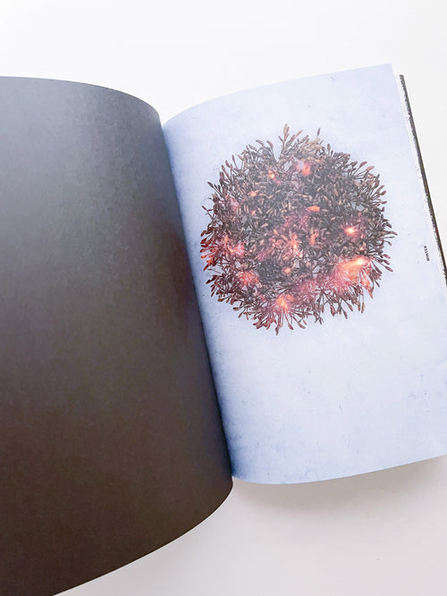 With Love. From an Invader. / Yan Wang Preston