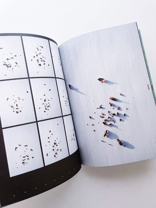 With Love. From an Invader. / Yan Wang Preston